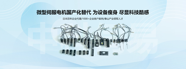 微型伺服電機(jī)